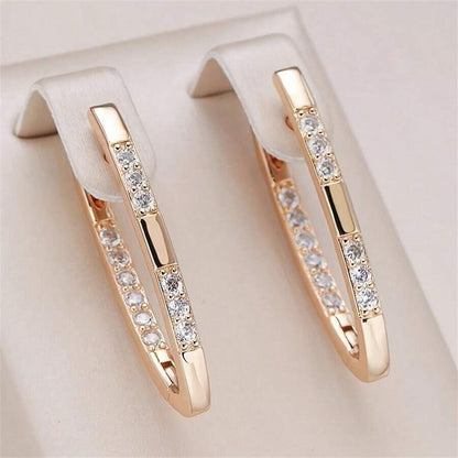 Exquisite Earrings with Zirconia